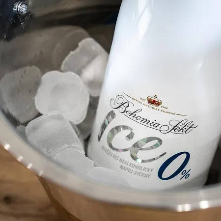 Modern Elegance Apartment Prag