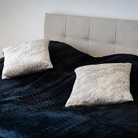 Modern Elegance *